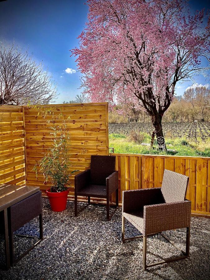 Lodging Au Milieu Des Vignes & Des Etoiles Saint-Jean-de-Fos Exterior foto